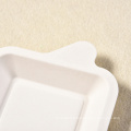 Recycled Biodegradable Pulp Square Dish